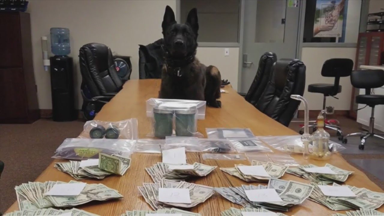 LSD ARREST
