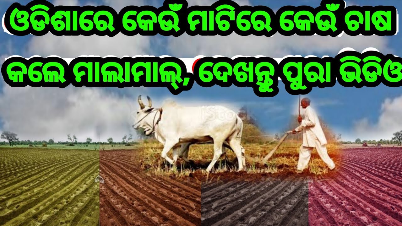 Save Lakhs of money, Which types of soil are good for which types of farming and Plants in Odisha