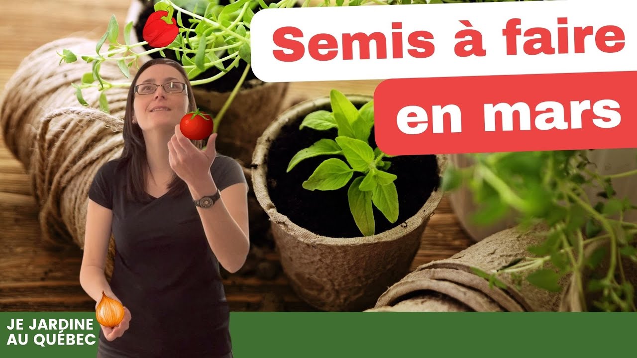 Quoi semer en mars: poivrons, aubergines, etc.