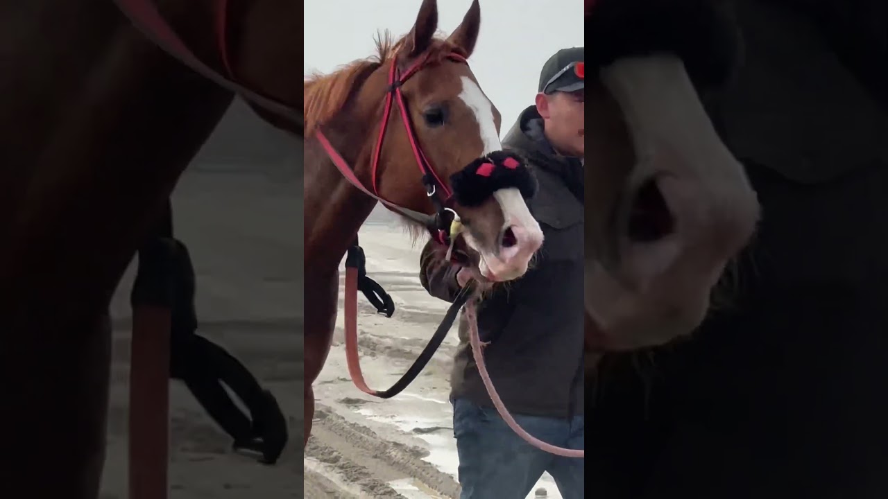 #musica #music #corridos #cover #antonioaguilar #elcharrodemexico