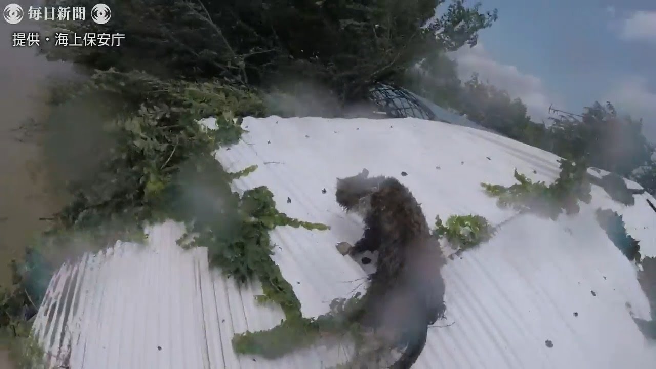 熊本豪雨　海保ヘリが孤立した住民とネコを救助　人吉市　海保提供