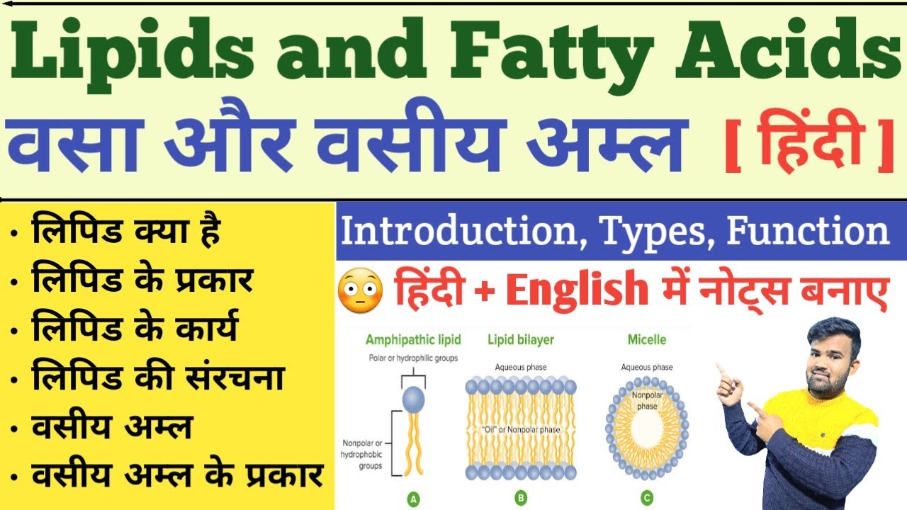 Lipid in hindi | Classification of Lipid | Fatty acids | Function of Lipid | Lipid Biochemistry