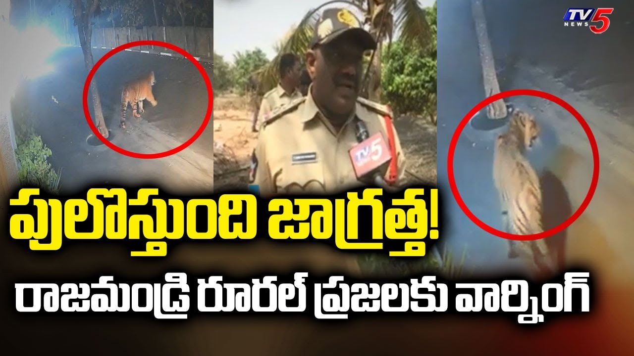 Rajahmundry Tiger Latest Updates: Forest Officials Warn People Not To Come Out || TV5 News