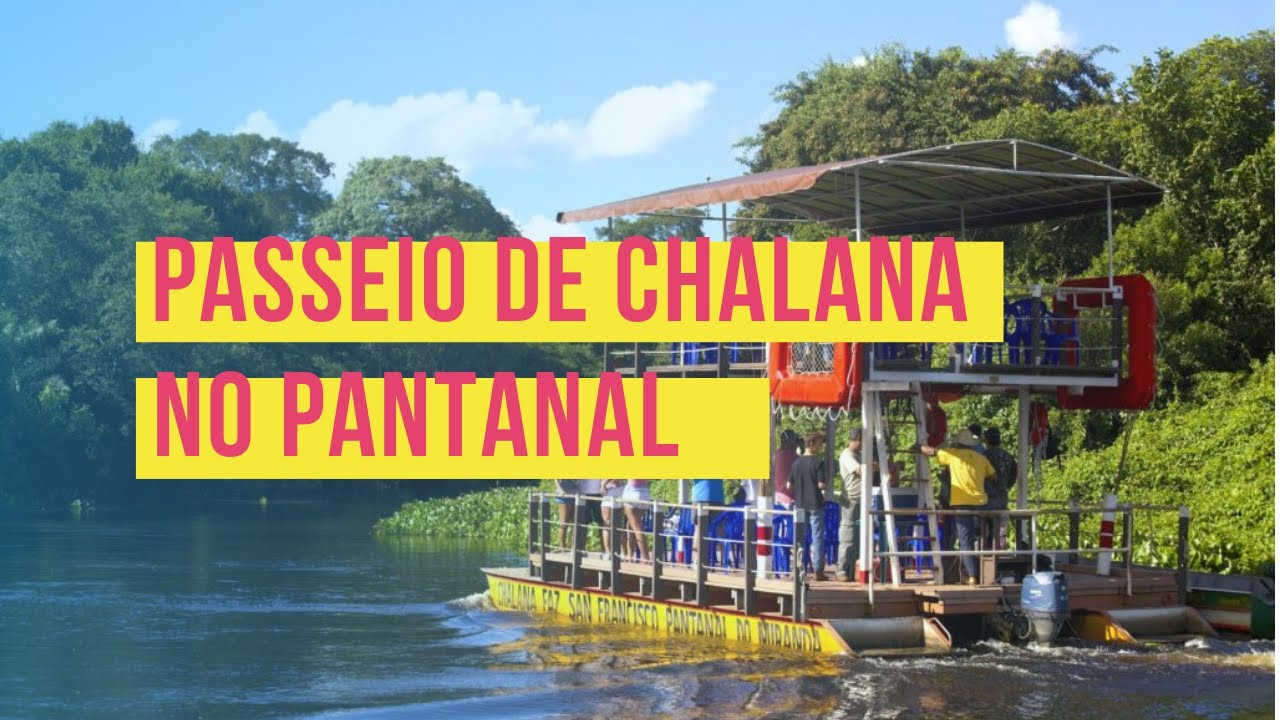 Passeio de CHALANA, no Pantanal!
