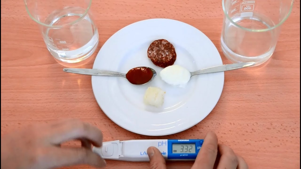 Measuring Food pH With The Horiba PH22 pH Meter