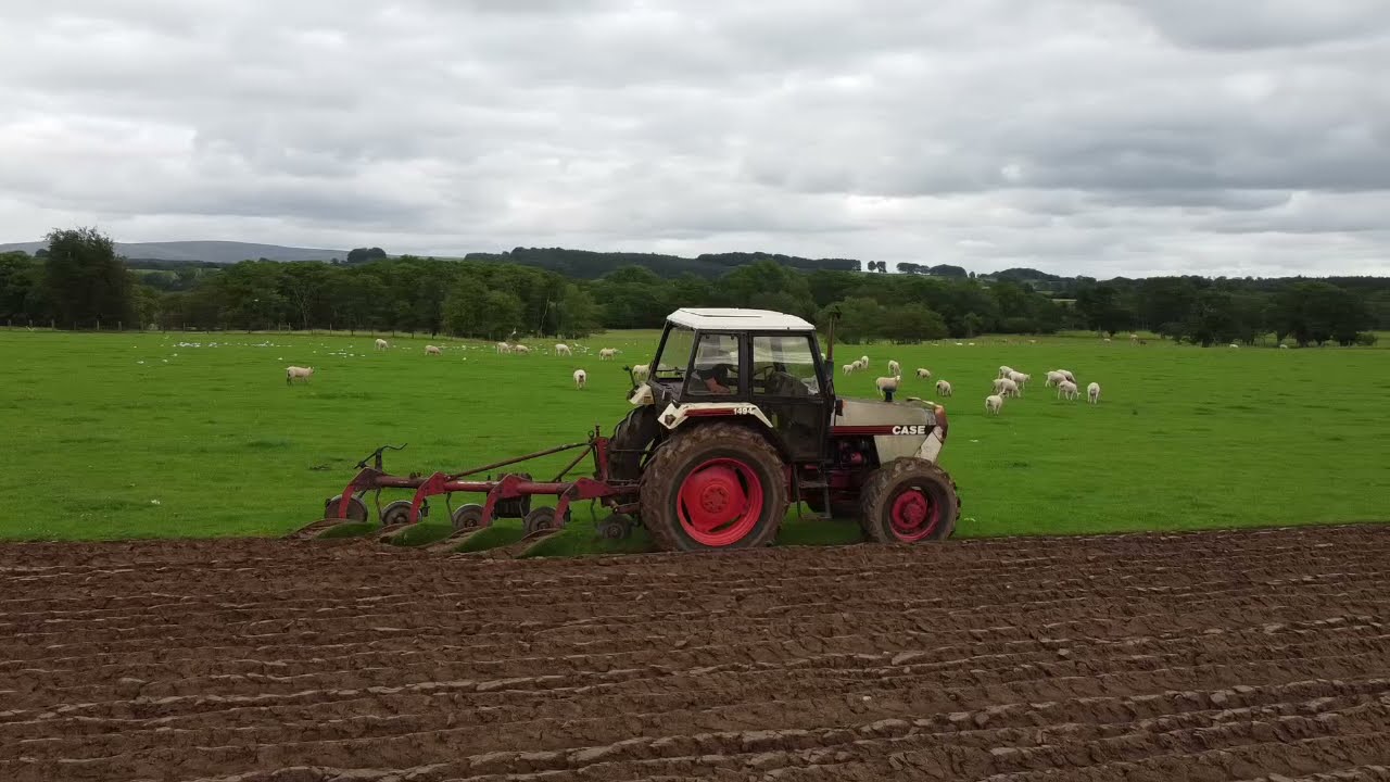 Ploughing with a David Brown 1494