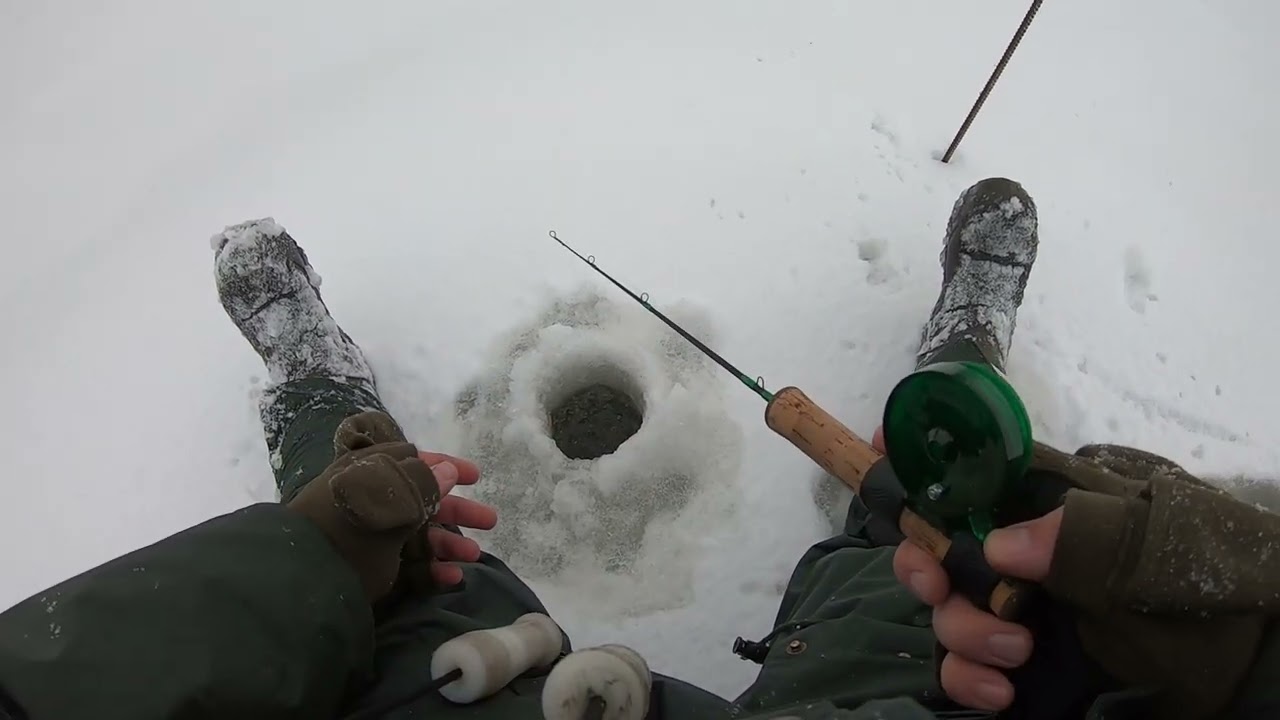 Pirmas ledas - pirmas blynas. Drop shot - poledinėje žūklėje bandymas...