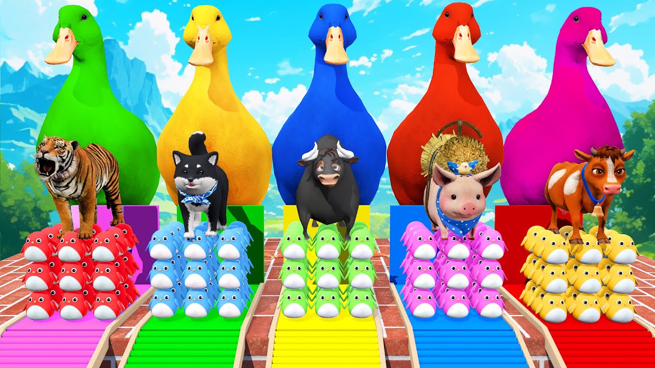 Long Slide Game With Cow Elephant Gorilla Hippopotamus Tiger - 3d Animal Game - Funny 3d Animals