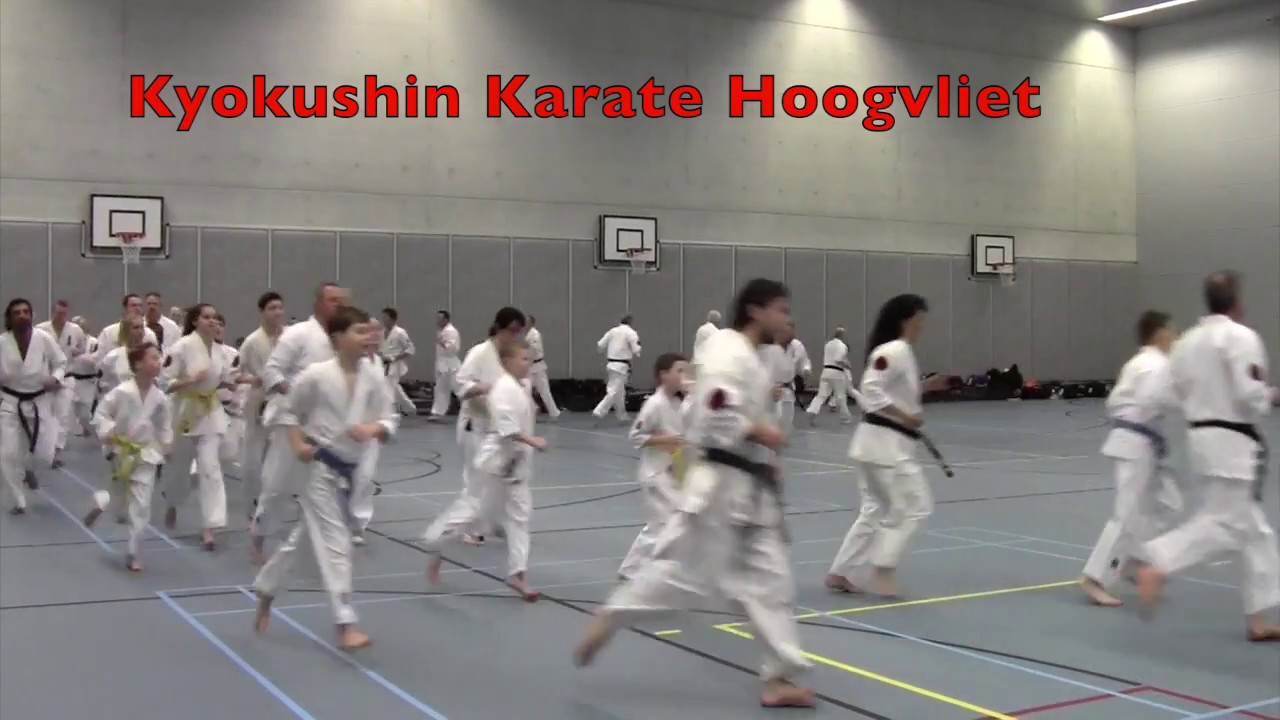 IBK-training 18 maart 2017 bij Kyokushin Karate Hoogvliet