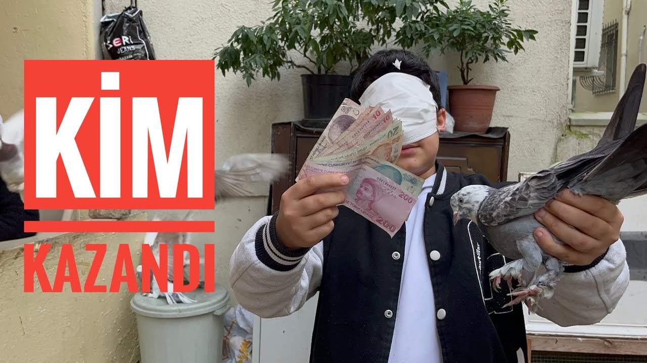 Gözün Kapalı Güvercini Tanı ( Beşyüz TL Ödüllü )