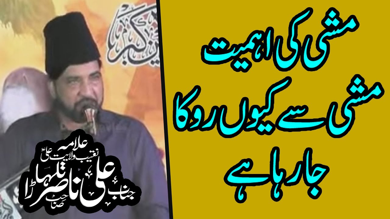 Allama Ali Nasir Hussaini of Talhara