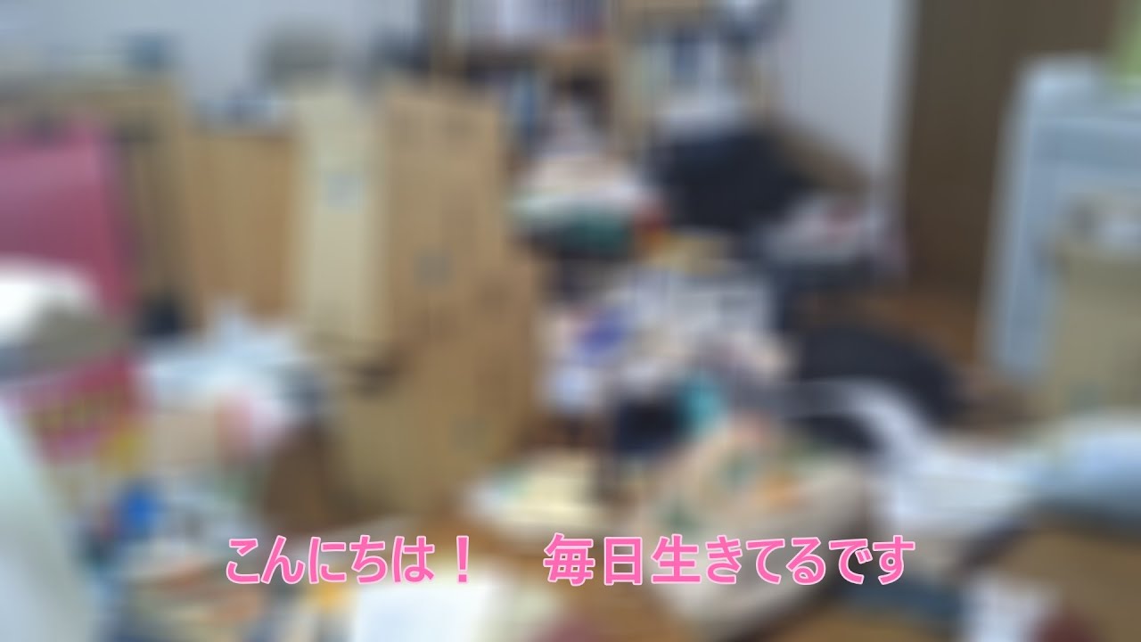【作業用】年末に向けて大掃除【片付け】