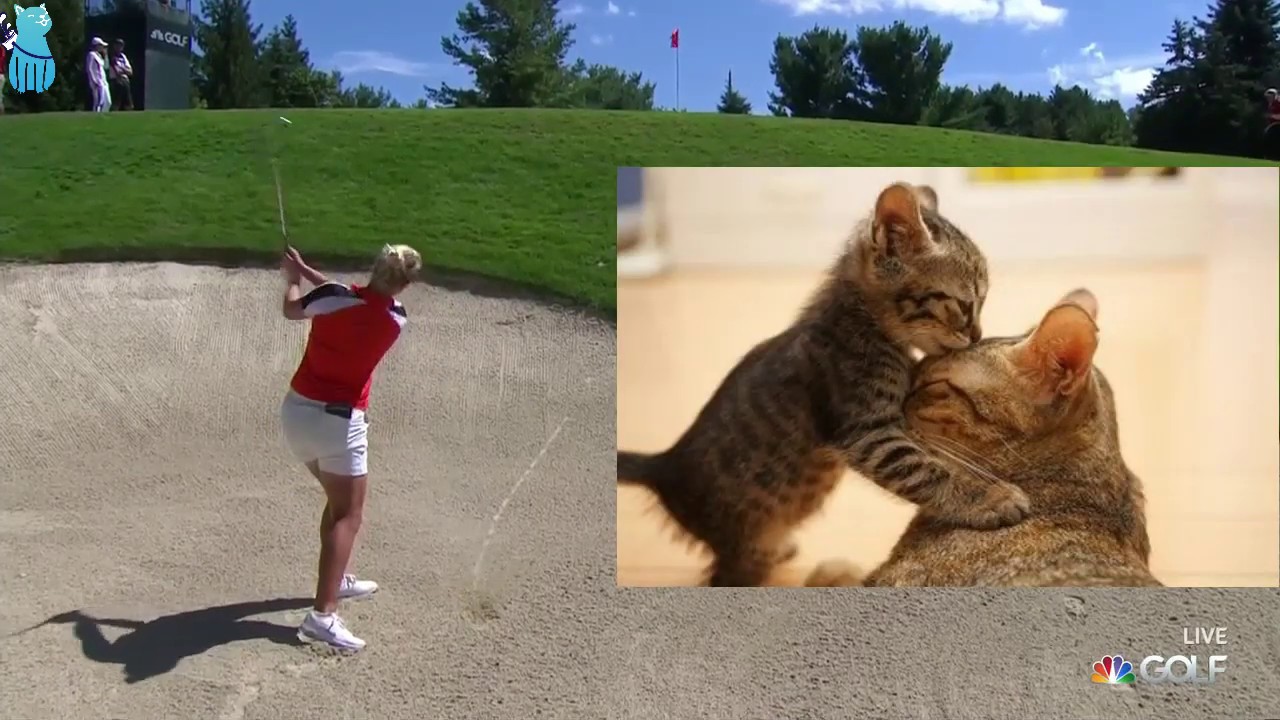 7 Golf Shot Fails 2019 Canadian Pacific LPGA Tournament