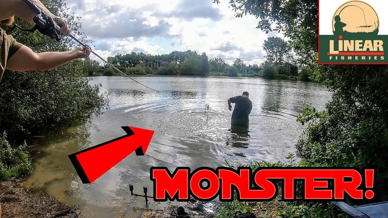 Biggest Fish I have Ever Caught! Carp Fishing At Linear Fisheries on St Johns Lake