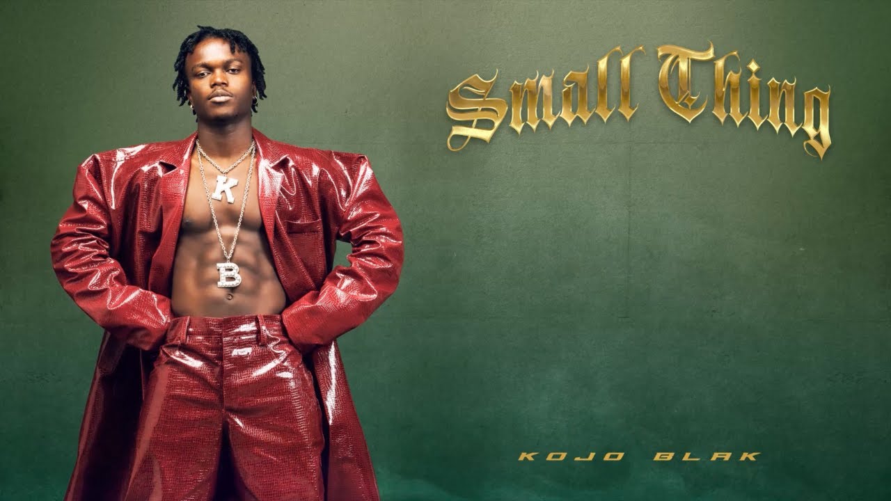 KOJO BLAK - Small Thing (Official Visualizer)