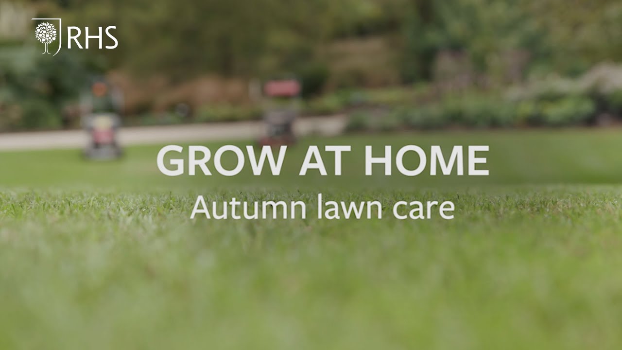 How to care for your lawn in autumn | Grow at Home | RHS