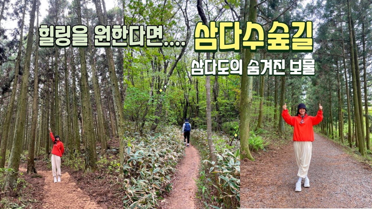 삼다도 제주에 숨겨진 힐링의 숲 / 삼다수숲길