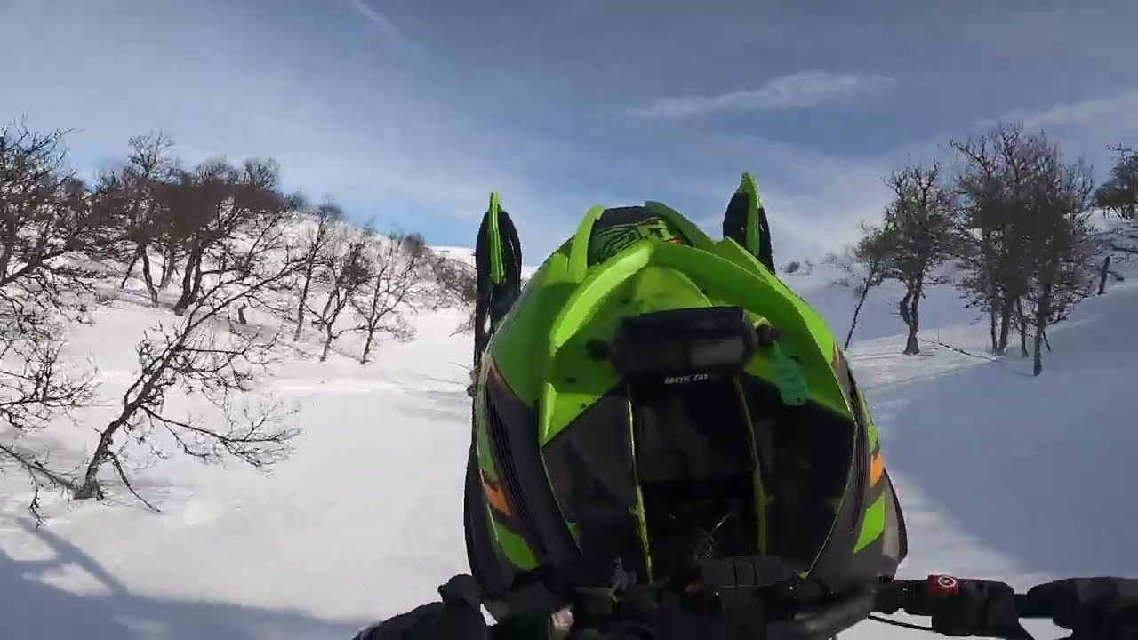 alpha 146