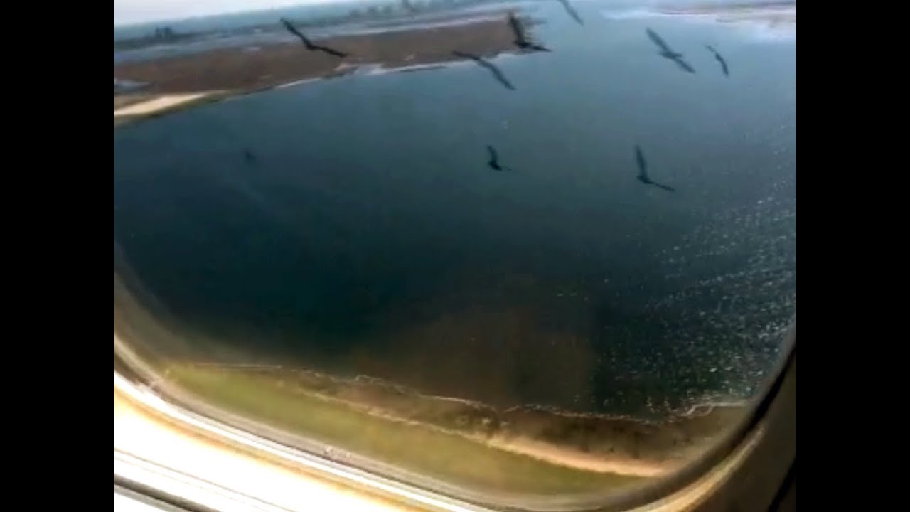 Emergency landing at JFK