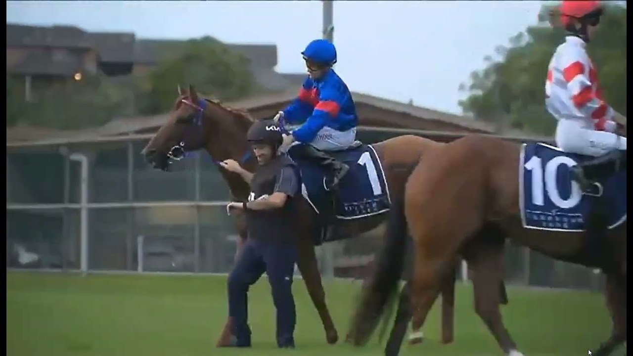 RACE 3 CANTERBURY - AUSTRALIA - 20 FEB 2026
