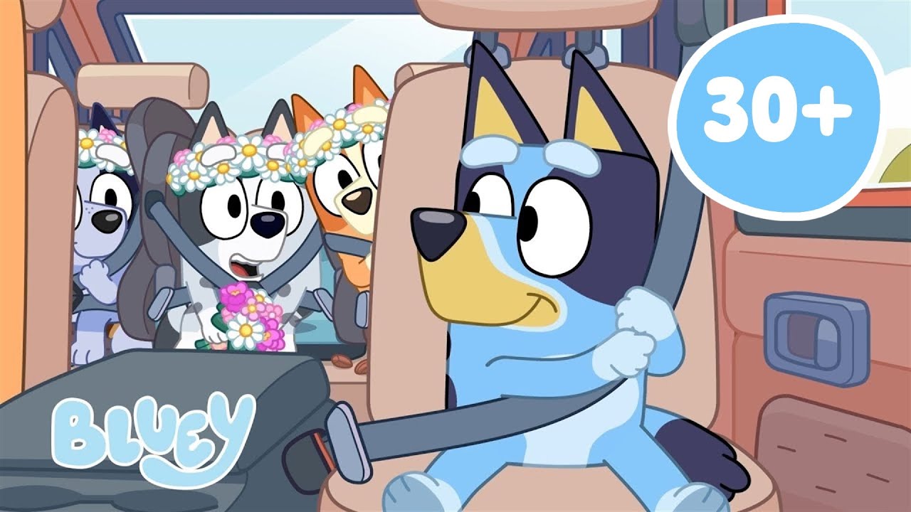 🔴EN VIVO: Aventuras viajeras con Bluey | Bluey