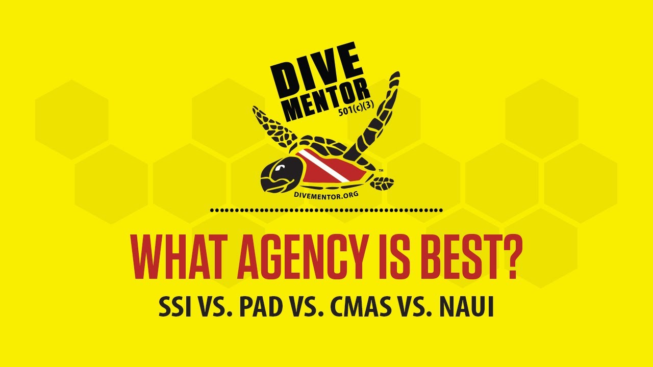 Which scuba diving agency is better... SSI or PADI?