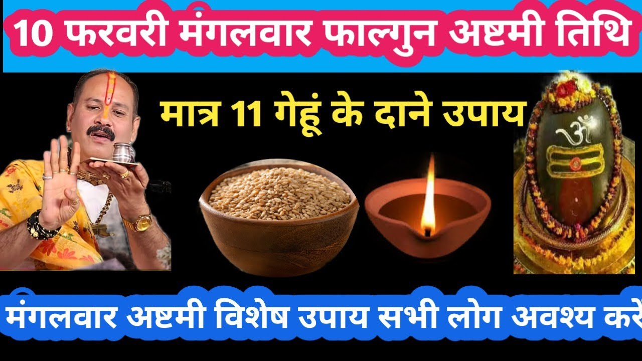 10 फरवरी मंगलवार फाल्गुन अष्टमी तिथि मात्र 11 गेहूं के दाने उपाय #mangalvar #upay#pradeepmishra#live