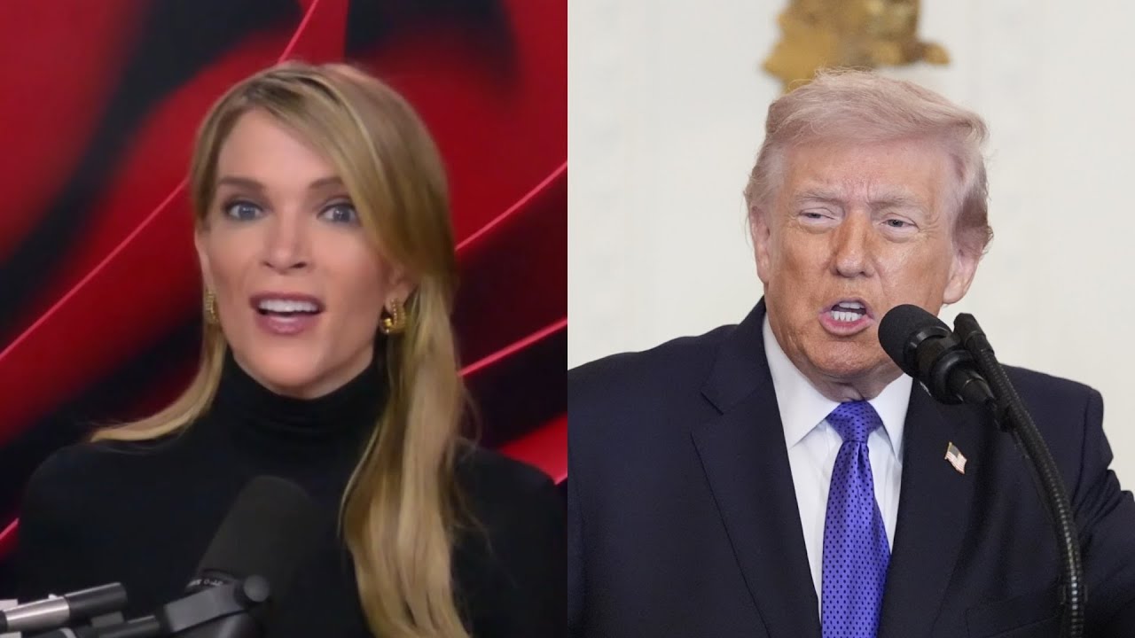 ‘He made some mild remarks about me’: Megyn Kelly reacts to Trump’s ‘sweet’ response