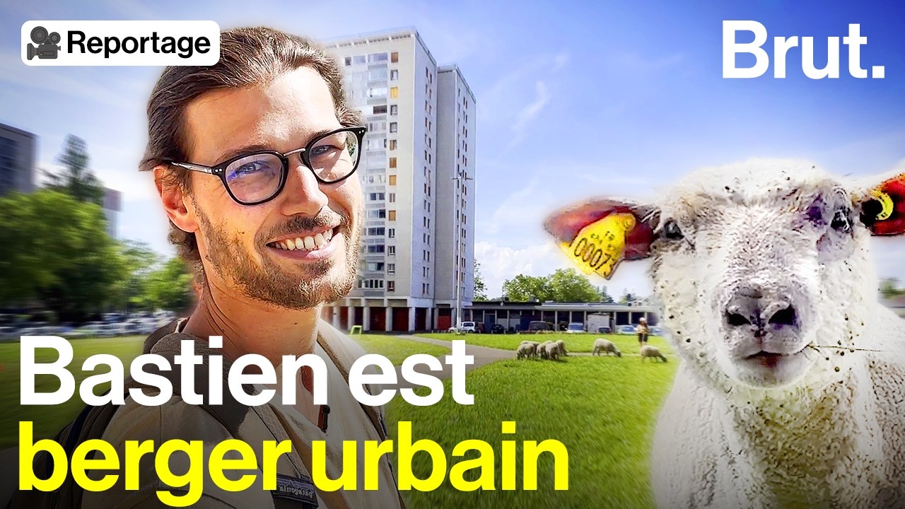 À Lyon, Bastien et son troupeau ramènent l'agriculture au cœur des quartiers