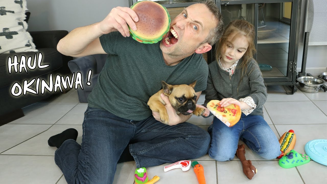 HAUL Okinawa  : On achete plein de jouets pour notre chiot Bouledogue Français ! Baby Dog Toys !