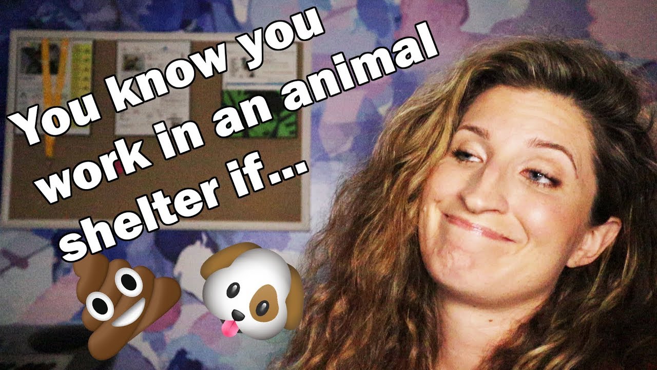 You know you work in an animal shelter if...