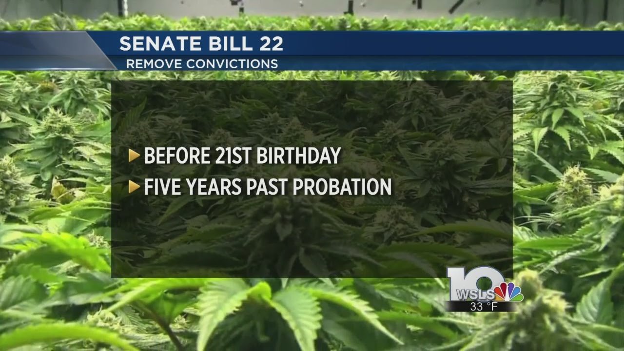 Proposed bills going through Va. Senate on marijuana reform