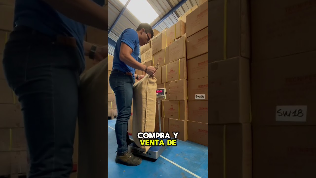 Bascula de Piso Electronica KW de 300 kg Tecnipesa
