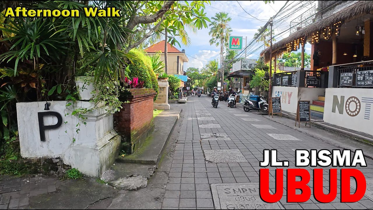 Many New Businesses But Still Quiet..!! Bisma Ubud Bali Afternoon Walk..!!