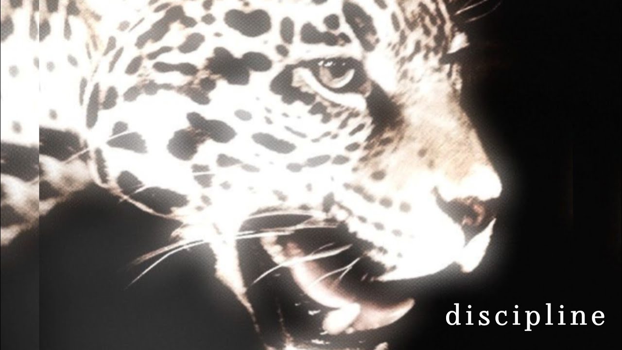 extreme obsessive discipline and consistency (do not overuse) 