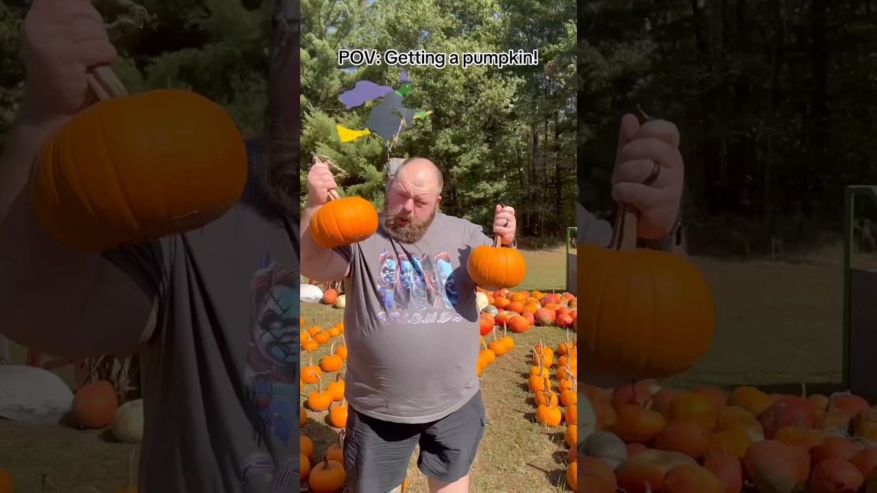 Picking a pumpkin! #shorts