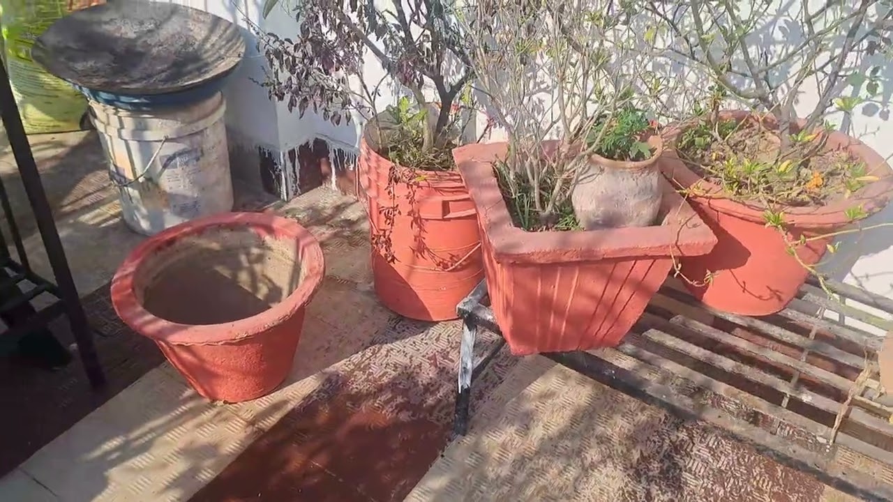 Good morning friends 😊 🧡 