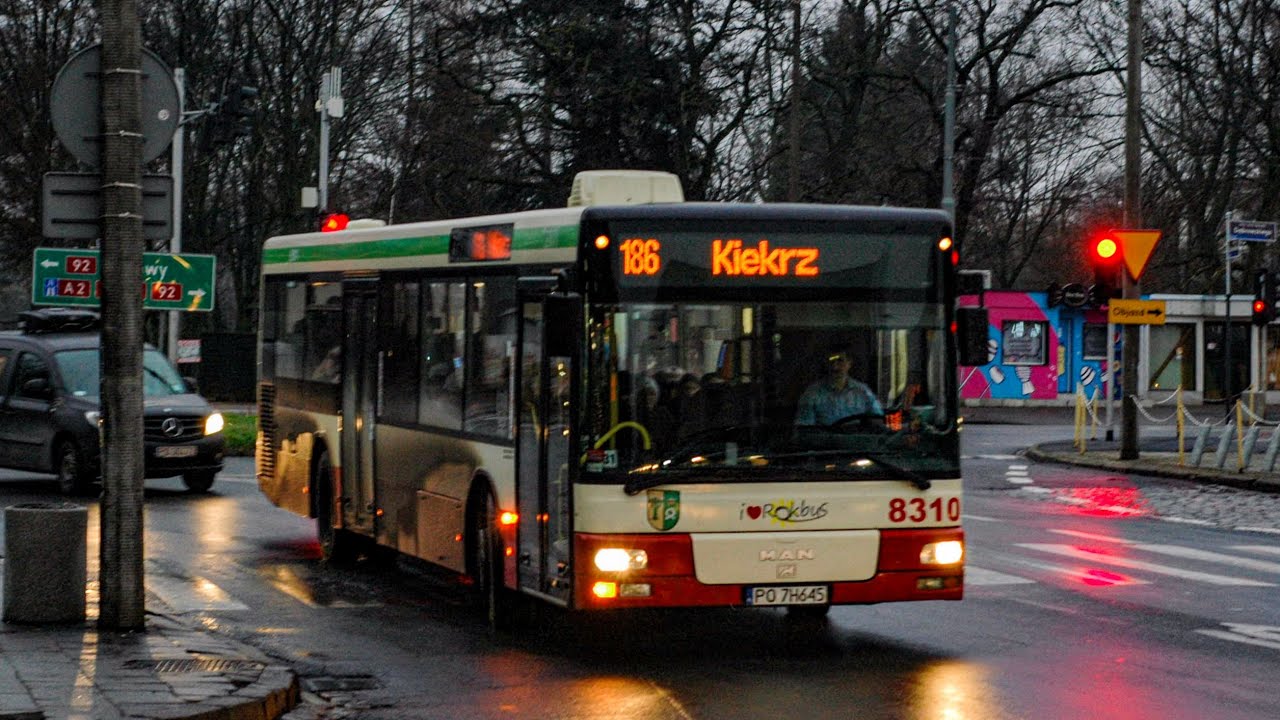 ZUK Rokbus Rokietnica - MAN NL263 #8315 (LOUD ZF 🎵) | linia 156
