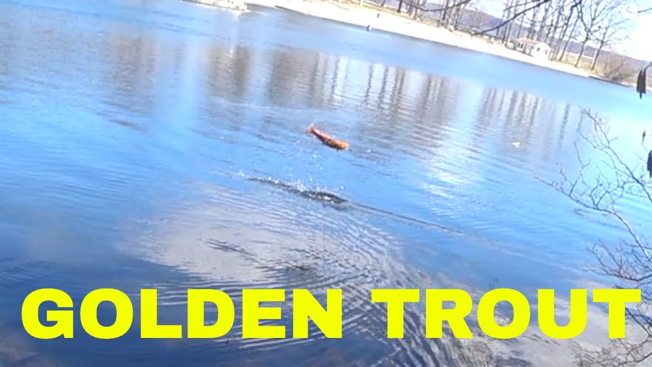 OPENING DAY TROUT FISHING IN ORANGE COUNTY NEW YORK