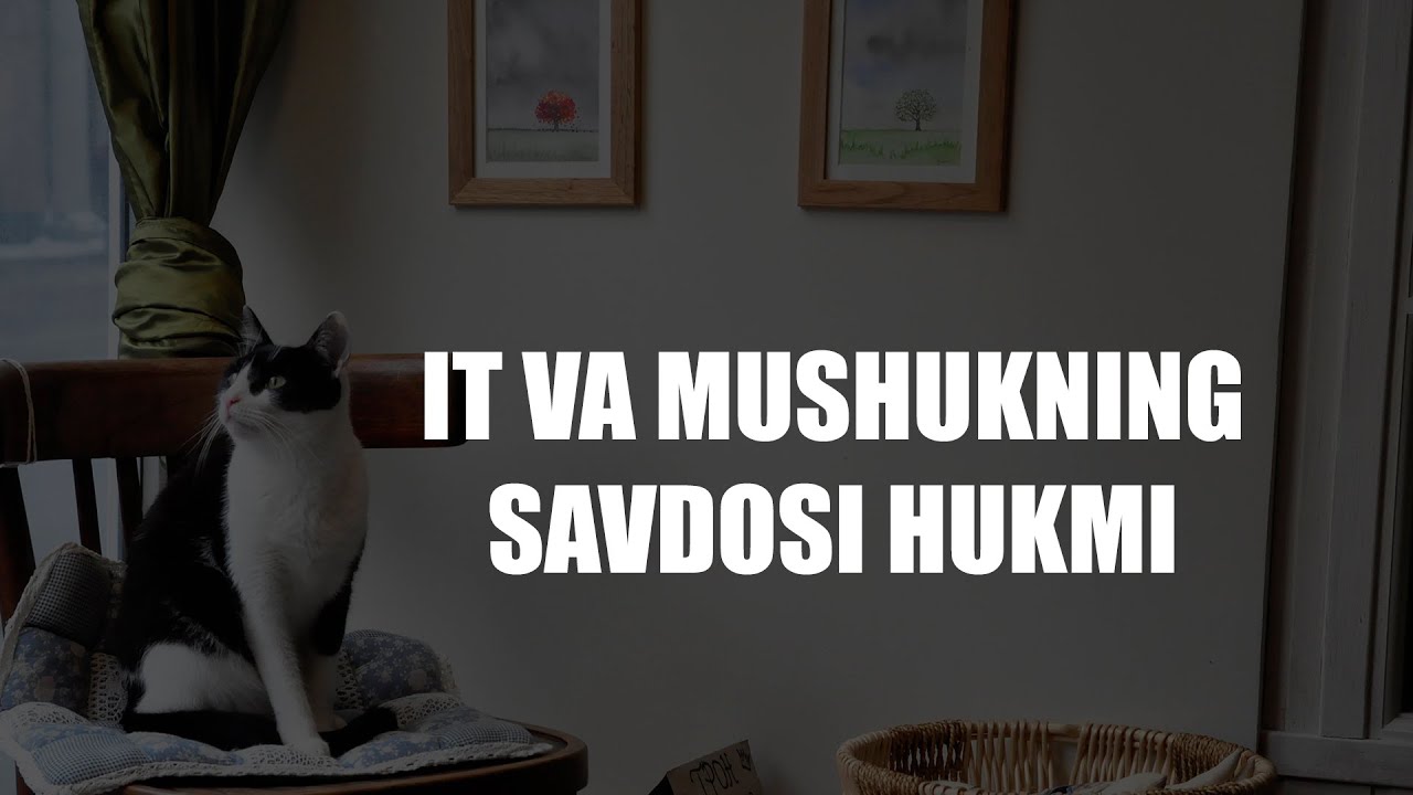It va mushukning oldi sotdisining hukmi | Ustoz Yusuf Davron