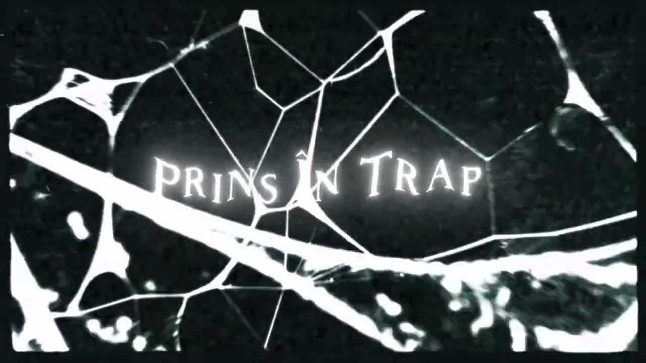 MZK X @Ealder7Z - Prins &Icirc;n Trap (official visual)