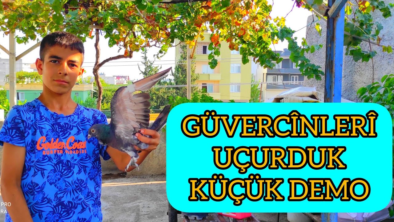 KÜÇÜK DEMO - GÜVERCİNLERİNİ UÇURUYOR 30 TANE ! PART 2