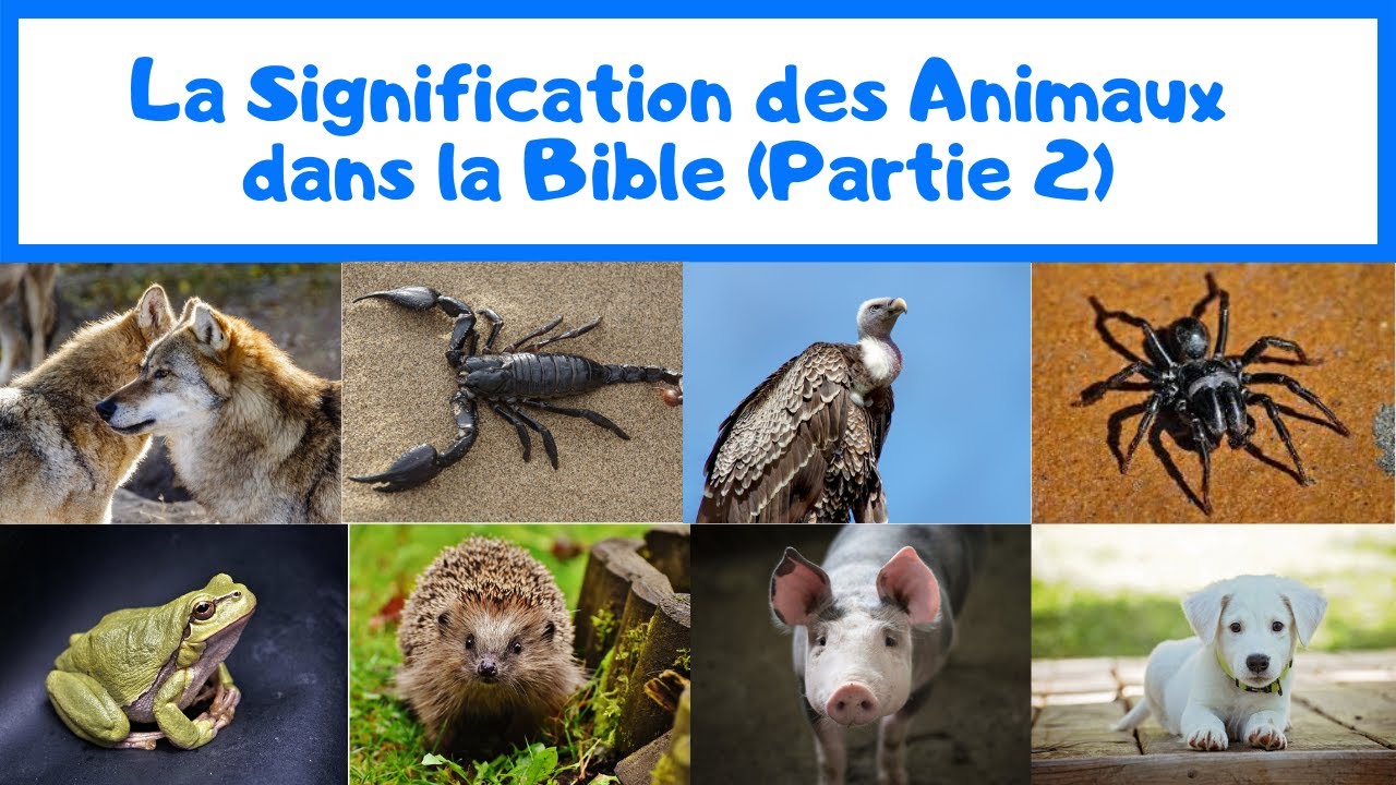 Les Animaux dans la Bible (PARTIE 2): Signification et Leçons Spirituelles
