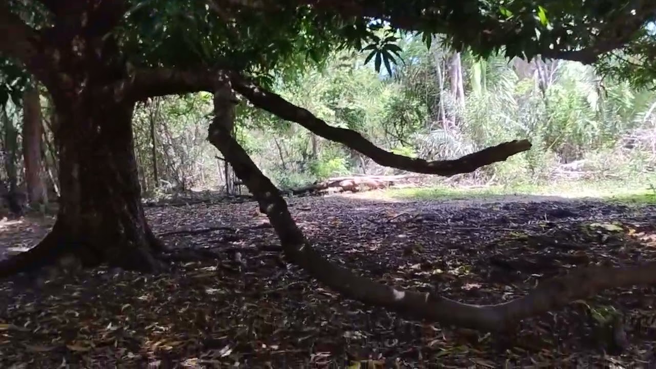 Hoje estou na natureza!