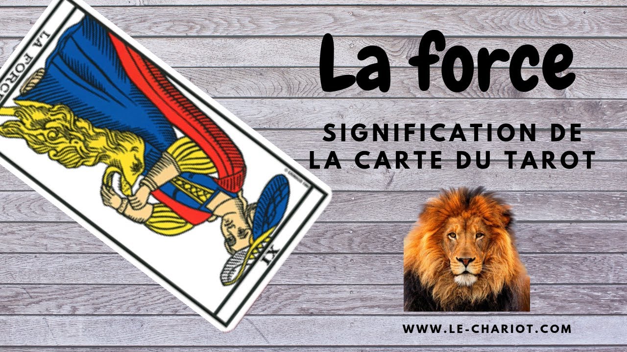 TOUTES LES SIGNIFICATIONS DE LA CARTE DE LA FORCE DU TAROT