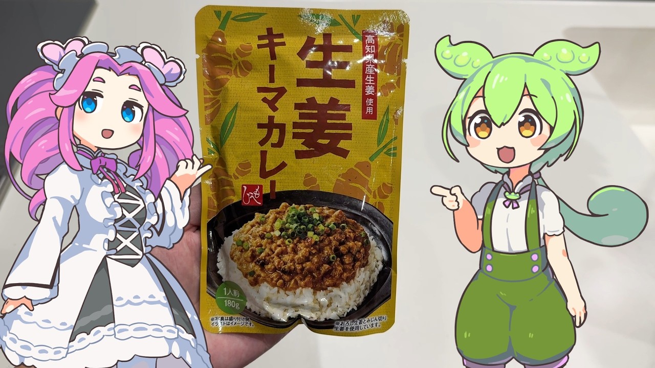 (レビュー)カルディで売っている生姜キーマカレーってどうなの？