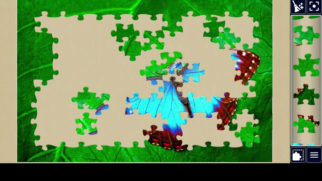 Vibrant Blue Morpho Butterfly🎉💓🥰🦋🧩🧩//#viralvideo #videos @jigsawpuzzle667 