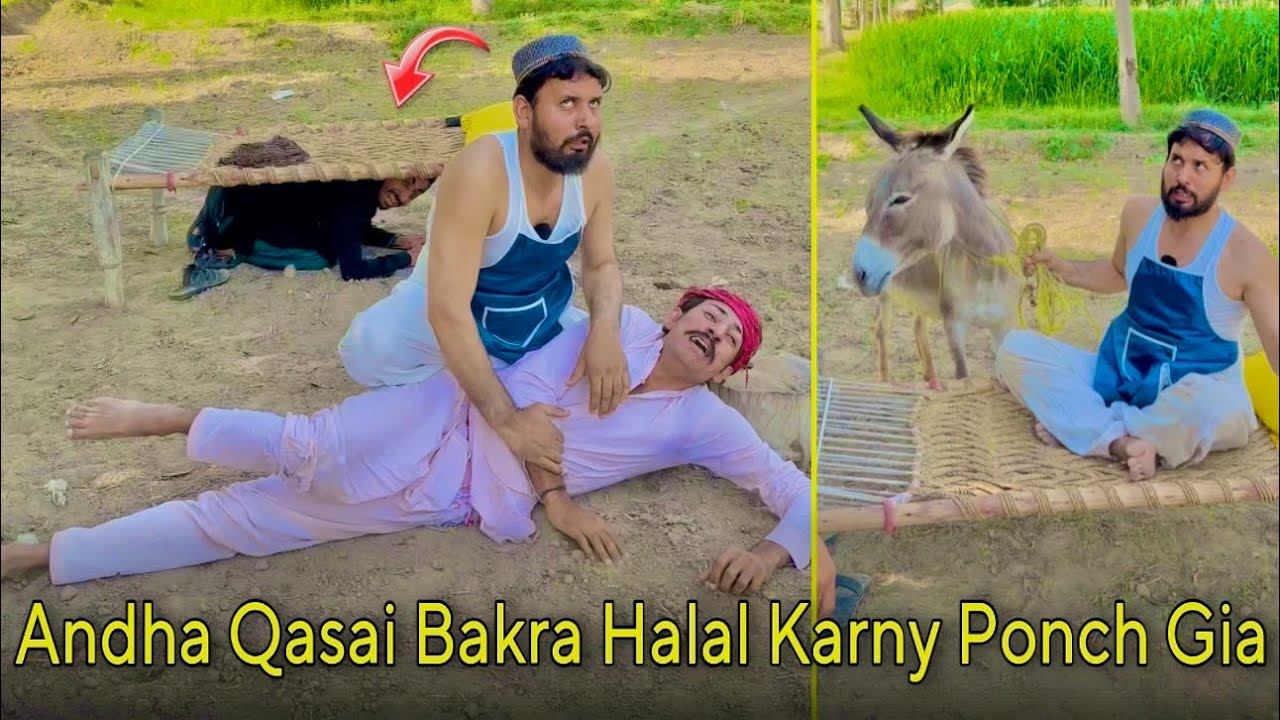 Andha Qasai 🔪 Bakra Halal Karny Ponch Gia