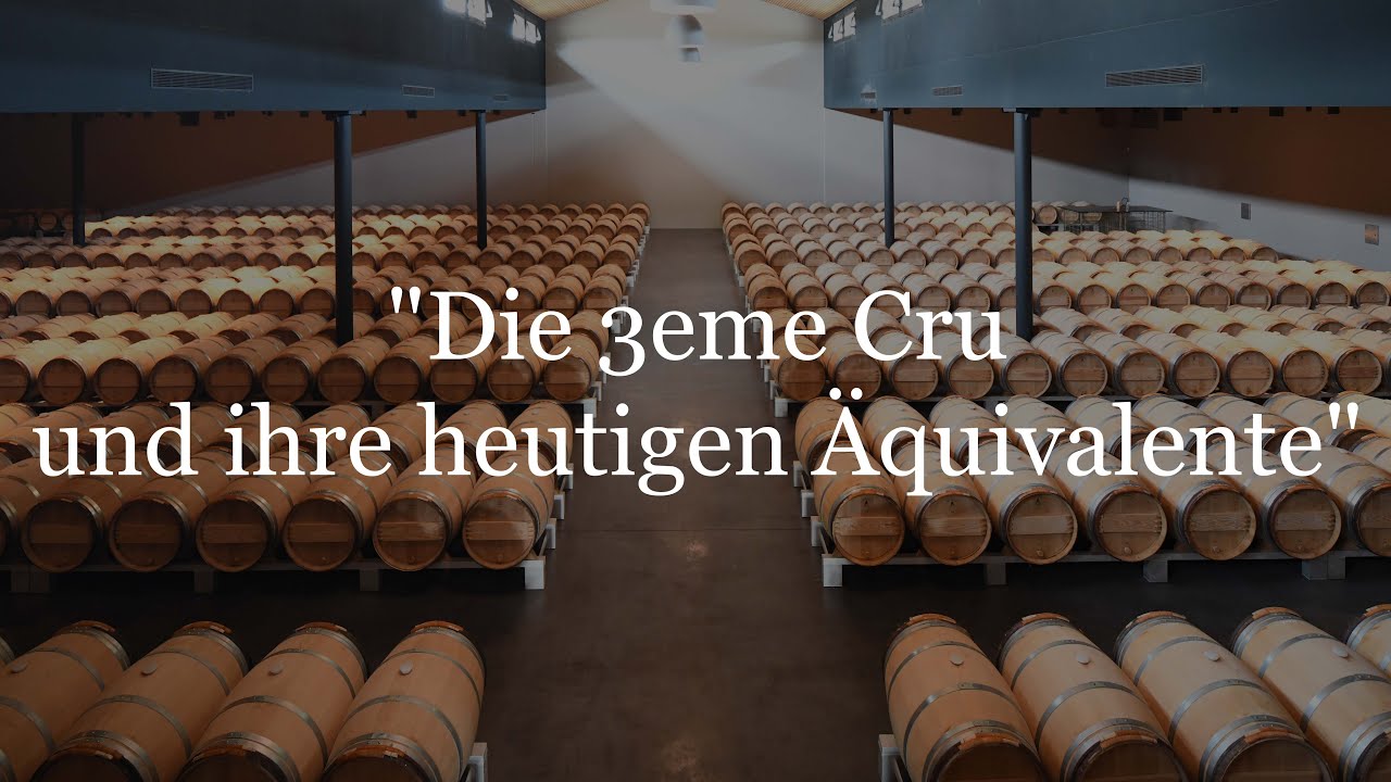 So erkennst du die besten Weine im Medoc!