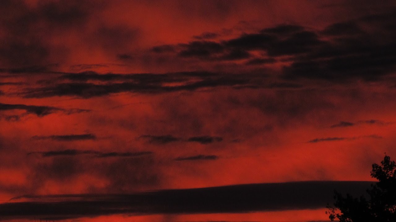 Of All That You Have Seen (Official Video)